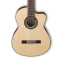 قیمت خرید فروش گیتار کلاسیک  Ibanez G207CWC NT